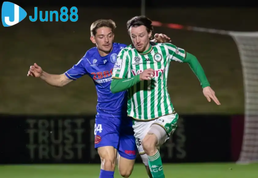 Avondale cần phải thắng để giữ vững ngôi đầu tại NPL Victoria Avondale cần phải thắng để giữ vững ngôi đầu tại NPL Victoria