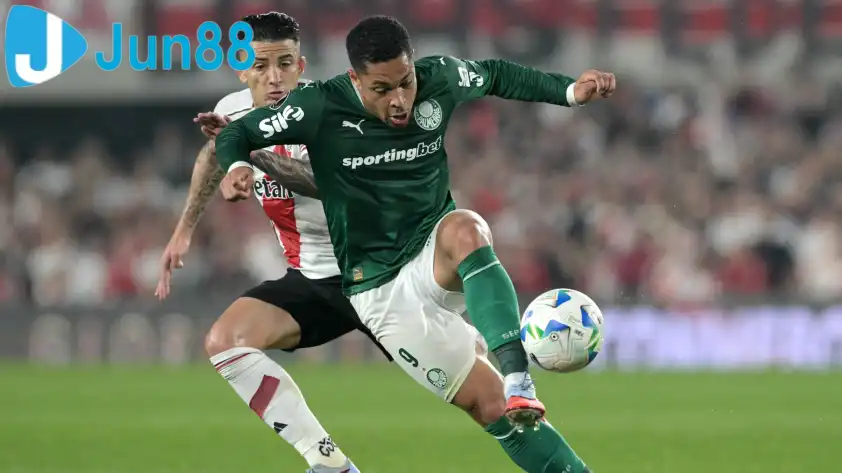Palmeiras được đánh giá cao hơn hoàn toàn so với Vasco Palmeiras được đánh giá cao hơn hoàn toàn so với Vasco
